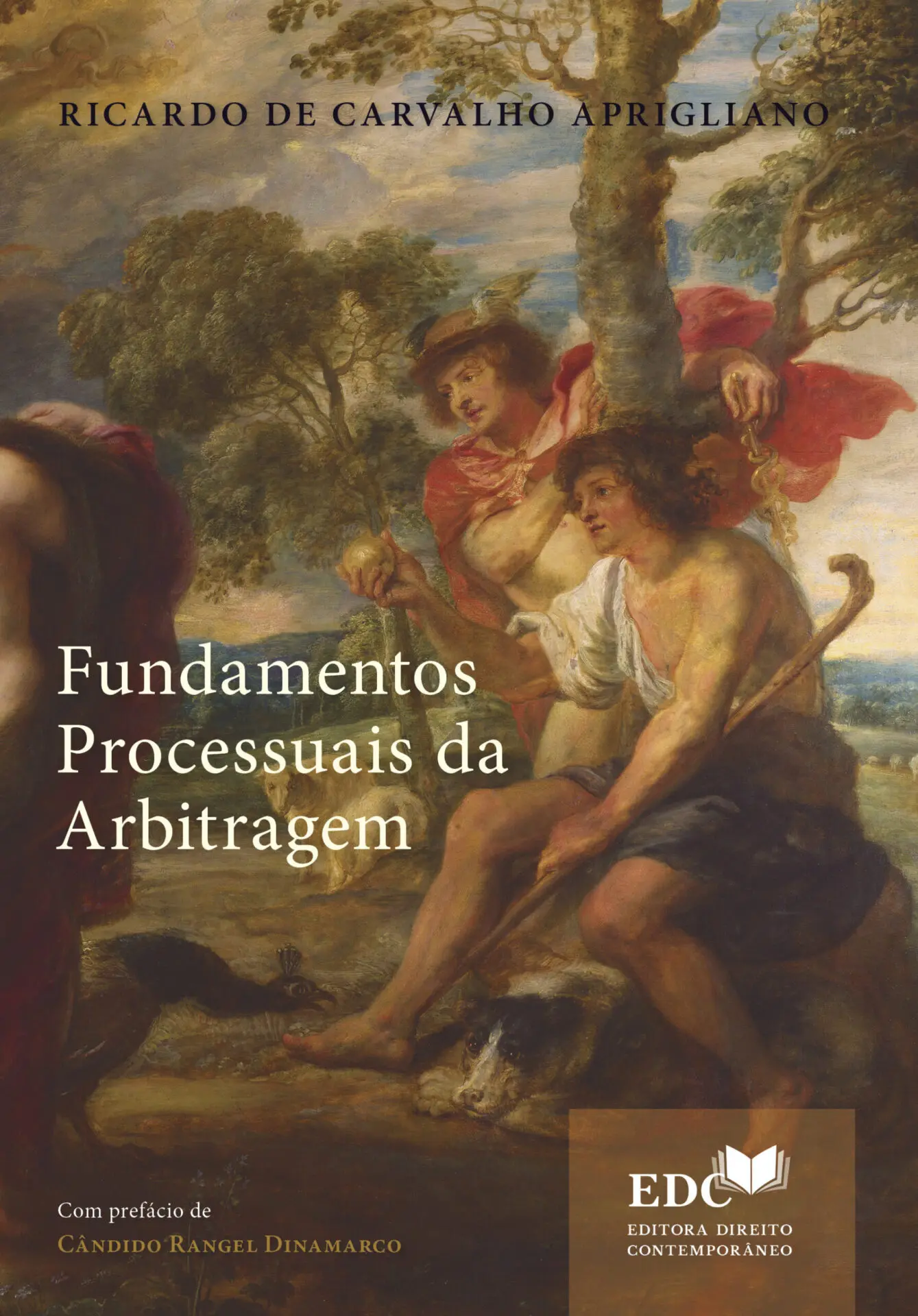 Fundamentos processuais da arbitragem
